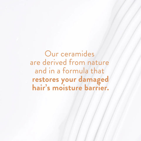 Sensitive Series: Mini Conditioner